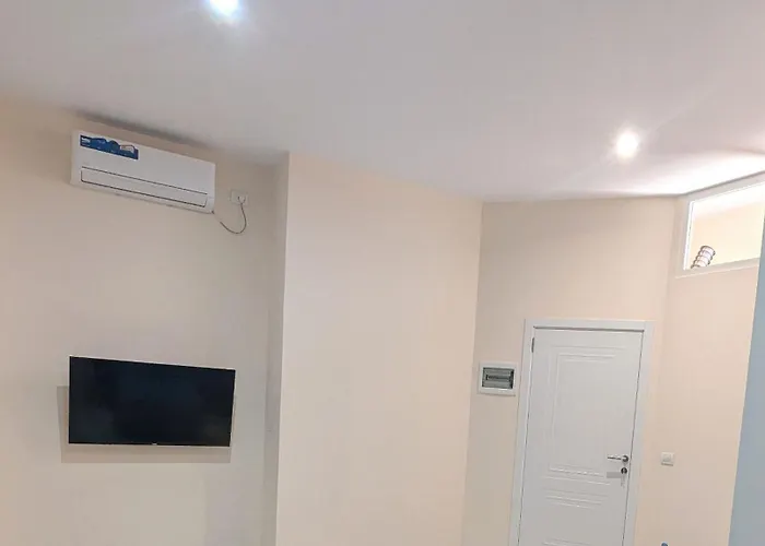 Center Luli's 地拉那